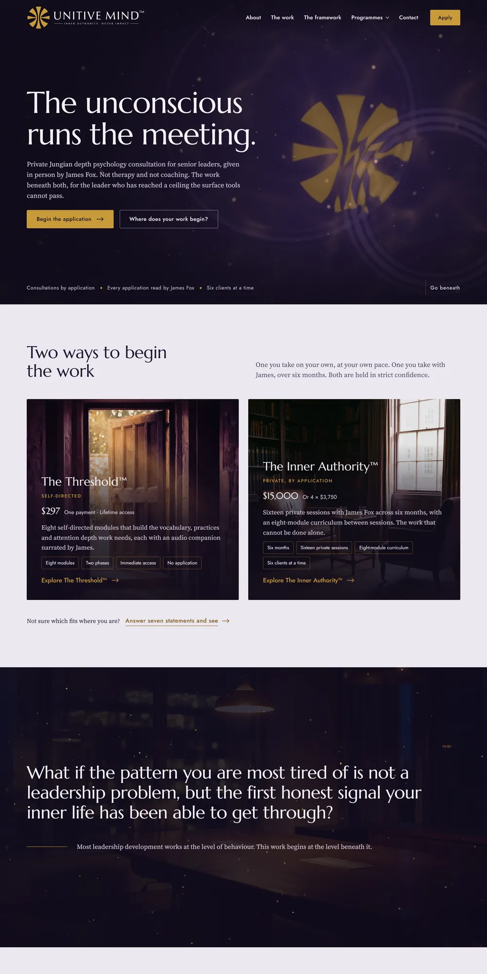 The homepage design we produced for Unitive Mind