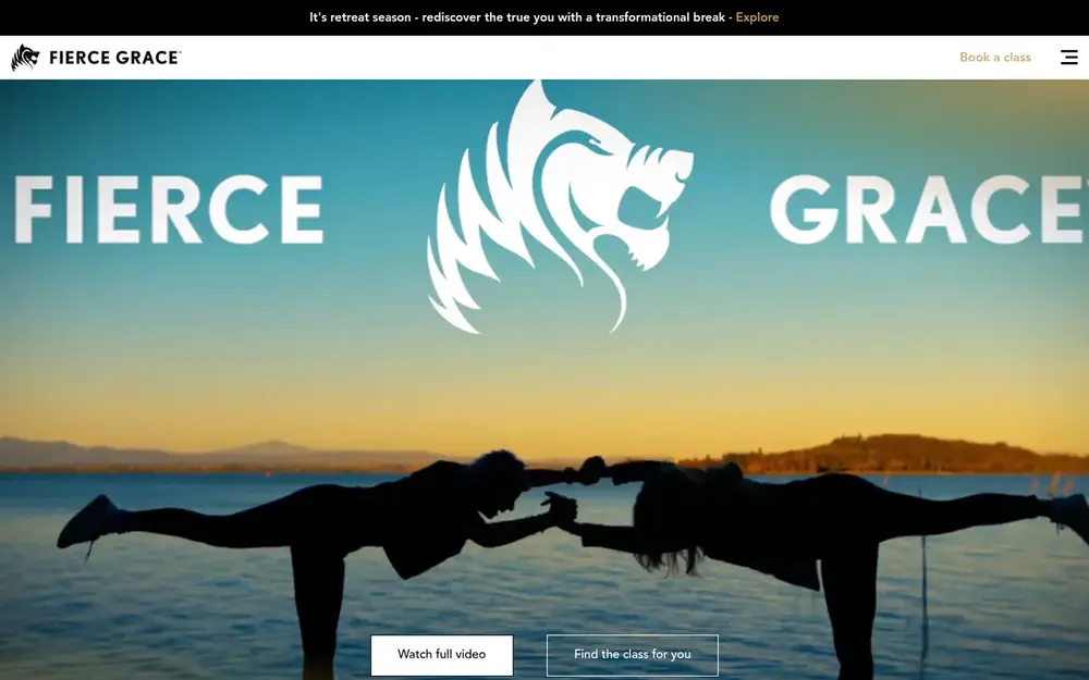 Fierce Grace website