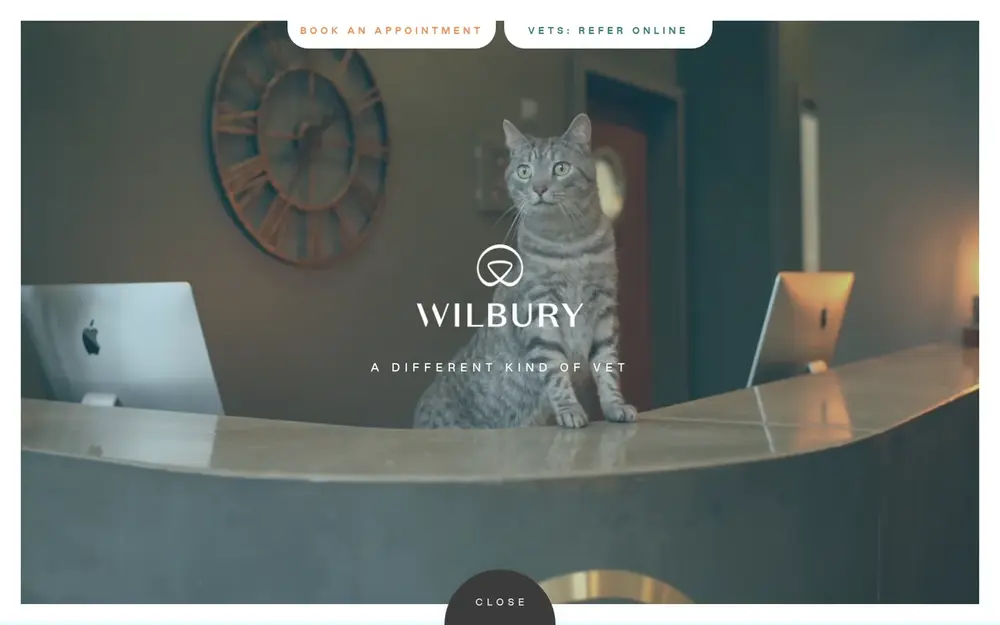 Wilbury Vets website