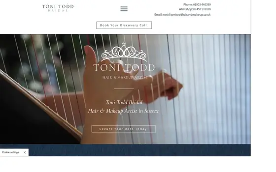 Toni Todd Hair & Makeup website