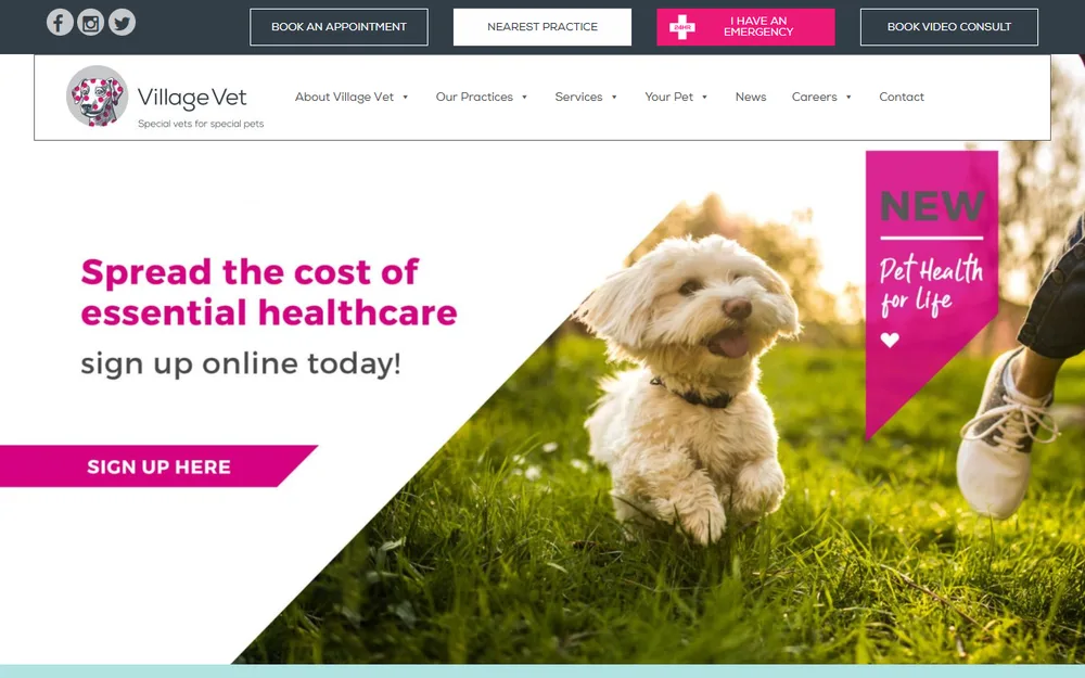 Village Vet homepage as it was before we redesigned it